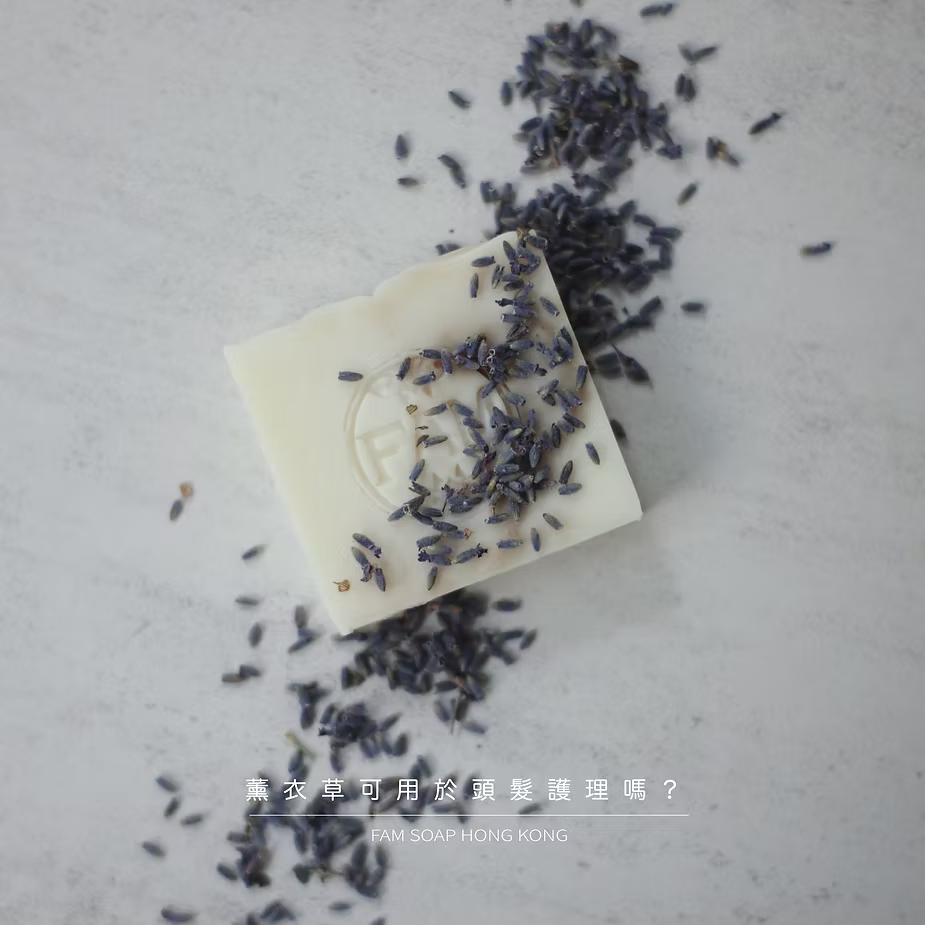 薰衣草可用於頭髮護理嗎？